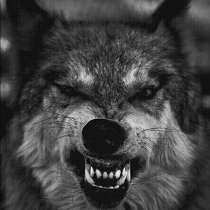 Meet your Posher, Javier